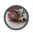 Protea Recruitment LTD